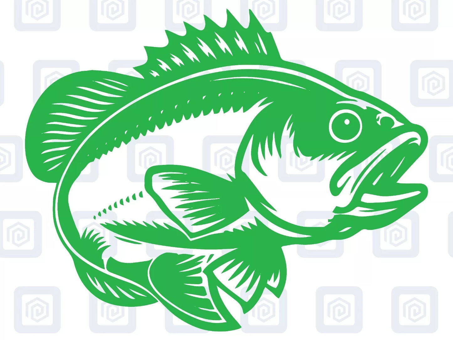 Carp Course Fishing Decal For Camper Van Caravan Motorhome Sticker Campervan