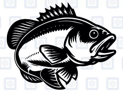 Carp Course Fishing Decal For Camper Van Caravan Motorhome Sticker Campervan