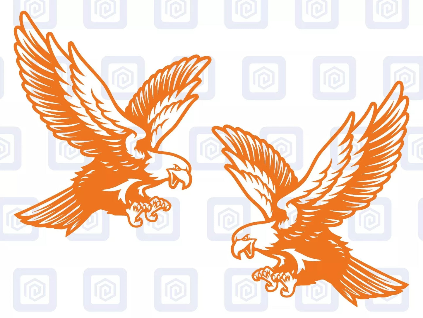 Eagle Vinyl Decal For Campervan Van Caravan Sticker Graphic Camping Bird Feather